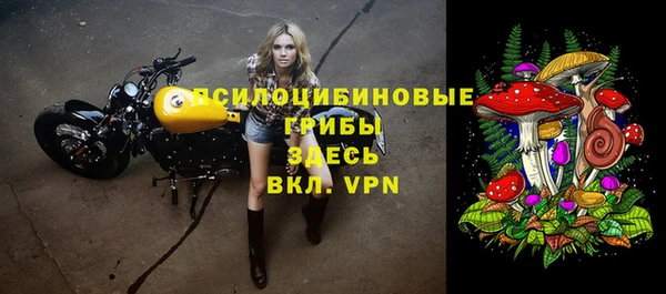 бошки Алексин