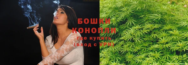 бошки Алексин