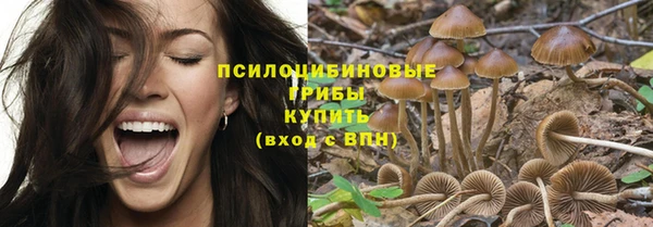 метадон Алзамай