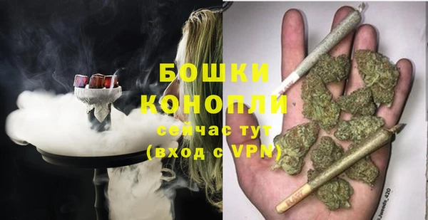 бошки Алексин