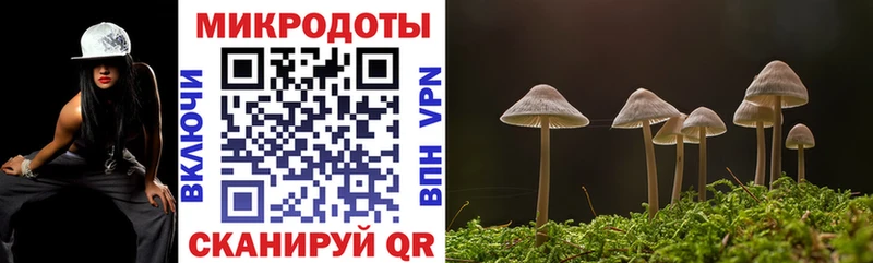 Галлюциногенные грибы ЛСД  Грязовец 